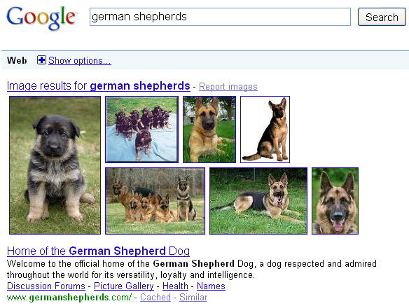 Чтобы продемонстрировать это, я запустил поисковый запрос «Немецкие овчарки», и вот результаты